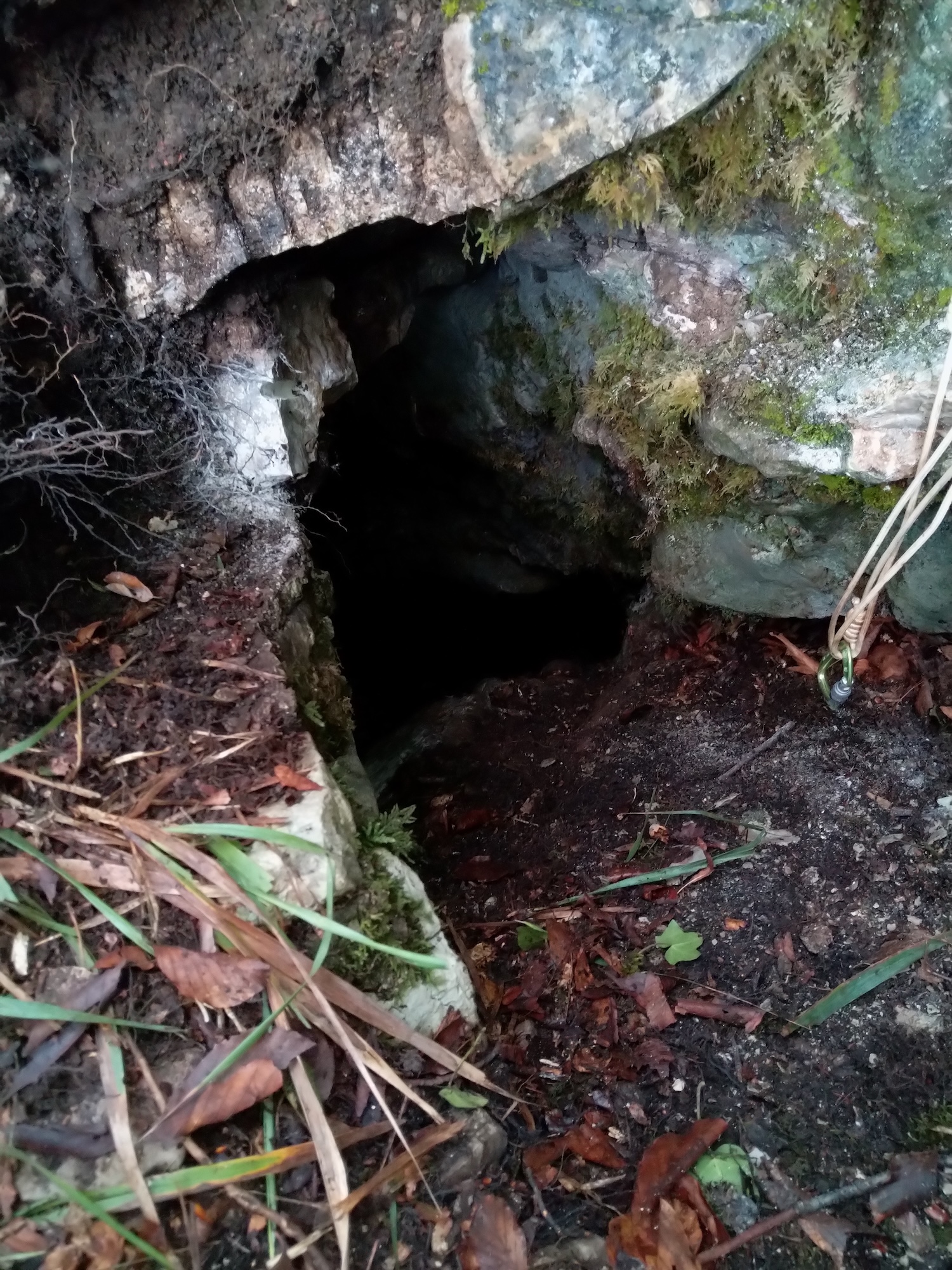 Peștera Nr.8 din Valea Toplița (Avenul Salamandrei) - Image 1